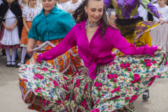 DSC_7520