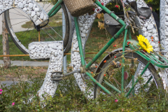 DSC_7548