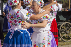 DSC_7690